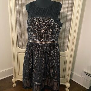 Beautiful lace detail LBD with tulle lining